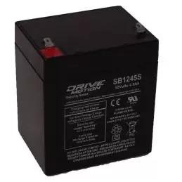 Sealed Lead Acid Battery fits 12V-4.5 Ah 12V, 4.5Ah